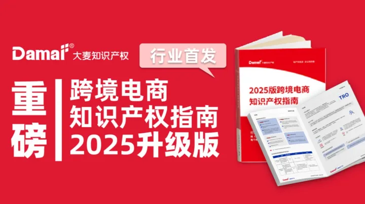 全面升级|《2025版跨境电商知识产权科普<em>指南</em>》新纸质版发布！