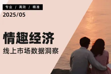 炼丹炉：2025情趣经济线上市场数据洞察报告