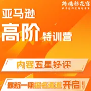 亚马逊广告高阶运营培训｜实战陪跑+AI提效｜亿级项目操盘手亲授