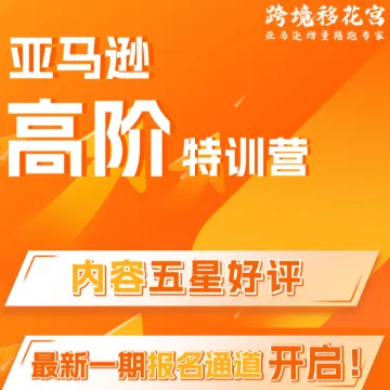 亚马逊广告高阶运营培训｜实战陪跑+AI提效｜亿级项目操盘手亲授