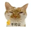 下饭猫