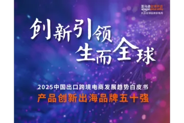 亚马逊全球开店2025中国出口电商白皮书
