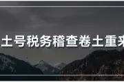 警惕！北爱本土号审查风暴来袭！卖家小心VAT税务风险！