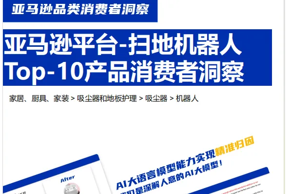 globavoc:2024年亚马逊平台扫地机器人Top-10产品消费者洞察报告(13页)
