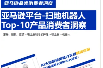 globavoc：2024年亚马逊平台扫地机器人Top-10产品消费者洞察报告（13页）