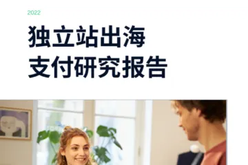 独立站出海支付研究报告