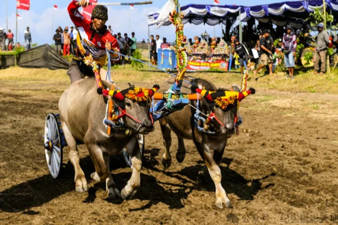 2025印尼斋月消费预测：跨境电商必须布局的三大高增长品类