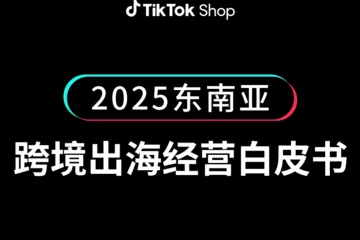 2025东南亚跨境出海经营白皮书