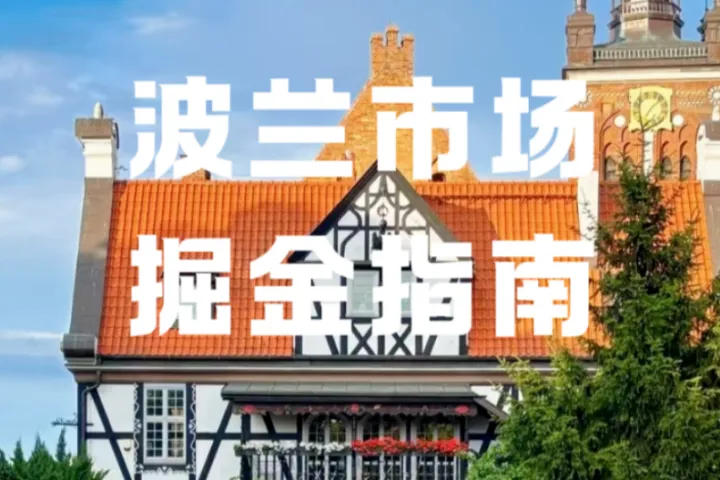 欧盟3欧元费+波兰数字税！中国卖家如何突围波兰跨境市场？