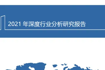 2021年石头科技公司前景与扫地机器人产业现状分析报告28页