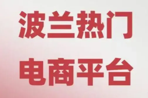 为什么说Allegro是中国卖家布局中东欧市场的新选择？（内附注册链接）