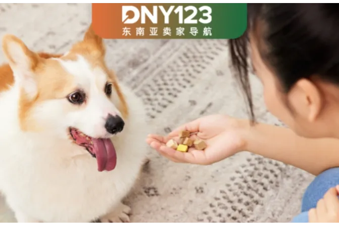从30万单本地仓发货开始，把宠物生意做进东南亚日常