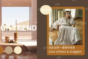 知衣科技2026春夏色彩应用度假中性色报告11页