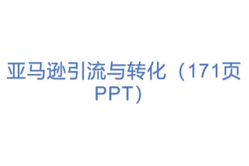 亚马逊引流与转化（171页PPT）