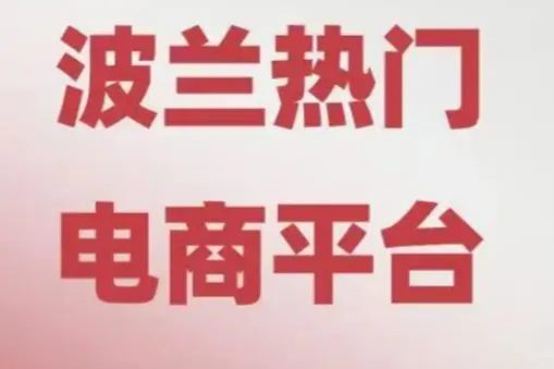 无需海外备货？Temu欧盟Y2模式登陆波兰，卖家入局指南