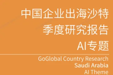 亿欧：中国企业出海沙特季度研究报告-AI专题