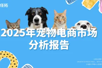 Nint任拓2025宠物电商市场分析报告32页