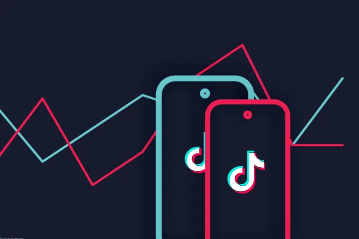 TikTok宠物用品市场：流量爆发与竞争加剧下的机遇与挑战