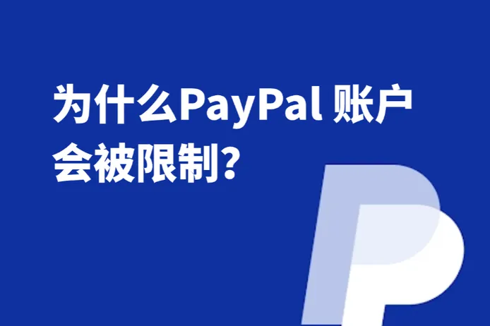 为什么你的 PayPal 账户会被限制？2026多账号风控原因与解决方案