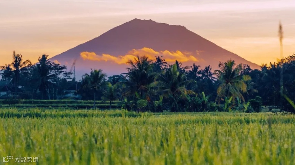 出海与国际化（印尼/东南亚、中东、欧洲等）可持续投资
