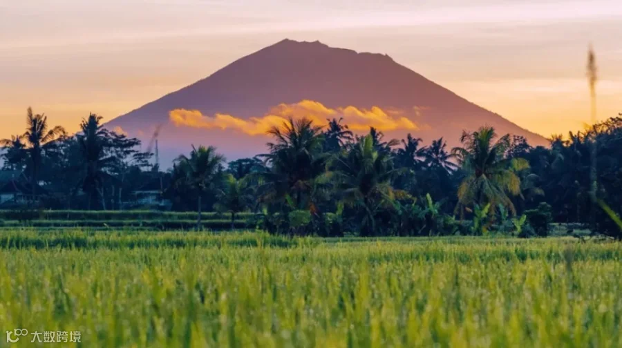 出海与国际化（印尼/东南亚、中东、欧洲等）可持续投资