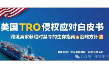 美国TRO侵权应对白皮书:跨境卖家的生存指南与战略方针(完结)