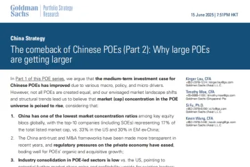 高盛：中国民营企业的回归第二部分为何民营企业企业愈发壮大