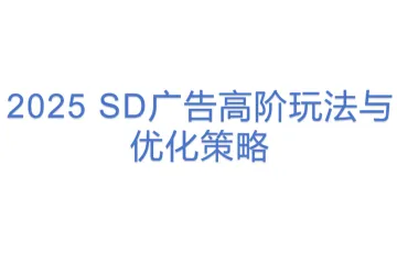 2025 SD广告高阶玩法与优化策略