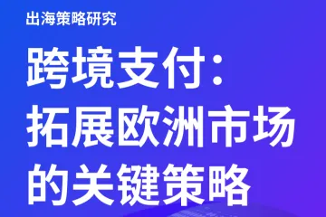 Airwallex空中云汇2025跨境支付拓展欧洲市场的关键策略报告24页