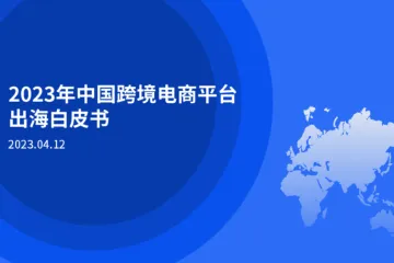 尼尔森IQ：2023年中国跨境电商平台出海白皮书
