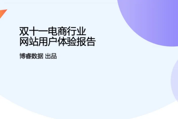 <em>双</em>十一电商网站用户体验报告
