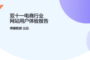 双十一电商网站用户体验报告
