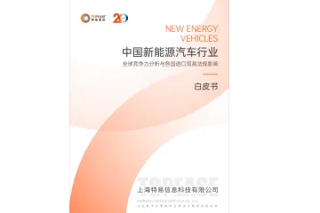 《新能源车全球优惠PDF》