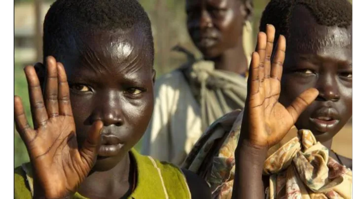 索马里 ECTN最新要求.