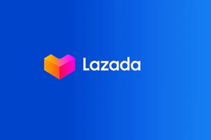 卖方交付(DBS)政策