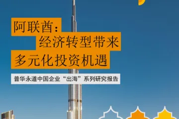 普华永道：2025中国企业出海系列研究报告-阿联酋经济转型带来多元化投资机遇