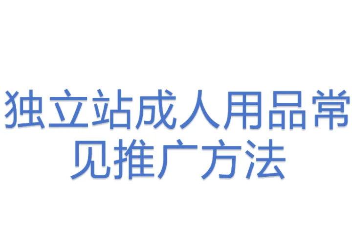 独立站成人用品常见推广方法