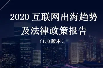 白鲸出海:2020互联网出海趋势及法律政策报告1.0第四部分