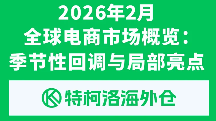 2026年2月全球电商市场概览：季节性回调与局部亮点