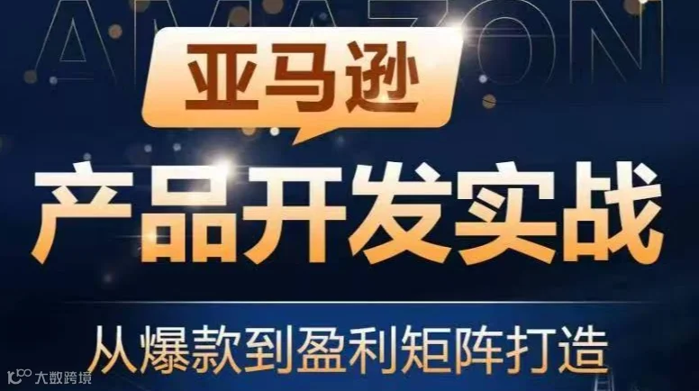 亚马逊产品开发实战——从爆款到盈利矩阵打造