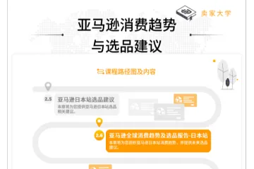 亚马逊全球开店：2024亚马逊全球消费趋势及选品报告-日本站