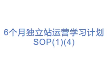 6个月独立站运营学习计划SOP(1)(4)