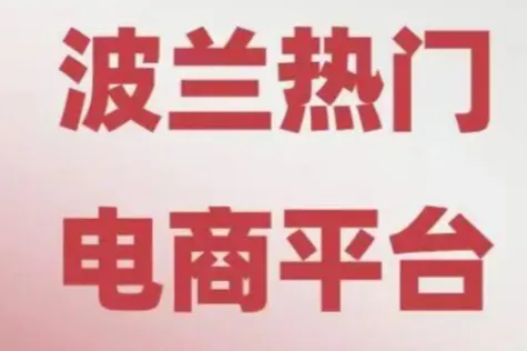 想进军波兰电商市场？Allegro超全干货指南请收好！