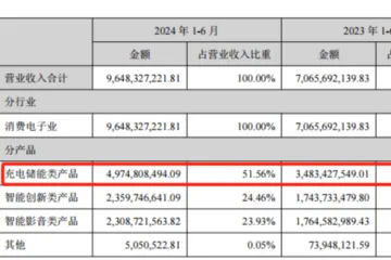 拟募资11亿，安克创新又一募投项目通过审核 | 品牌出海