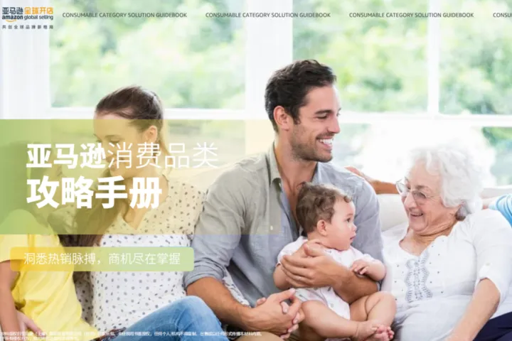 <em>2025年</em>亚马逊消费品类攻略手册