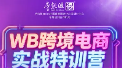 WB跨境实战特训营