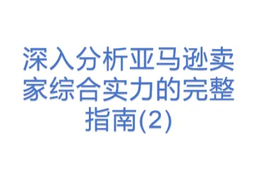 深入分析亚马逊卖家综合实力的完整指南(2)