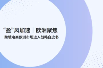 派安盈：2025盈风加速欧洲聚焦跨境电商欧洲市场进入战略白皮书