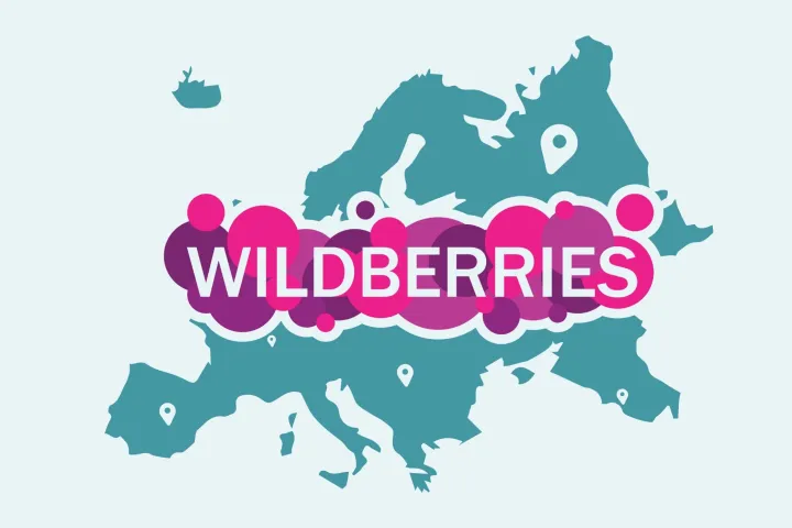 适合哪些中国卖家入驻Wildberries？
