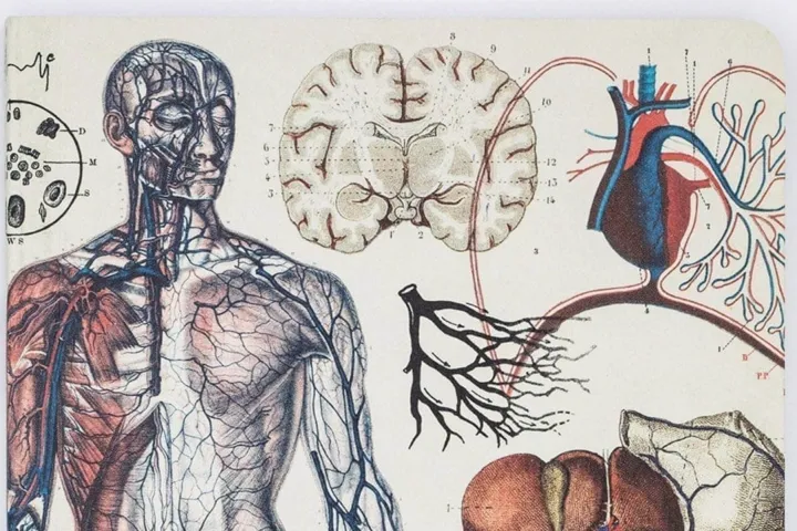 海外文具品牌分析：超6万单4.9星好评！2人小作坊逆袭成明星卖家